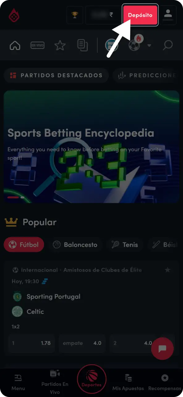 Carga saldo en tu cuenta utilizando cualquiera de las opciones de pago habilitadas en el portal.